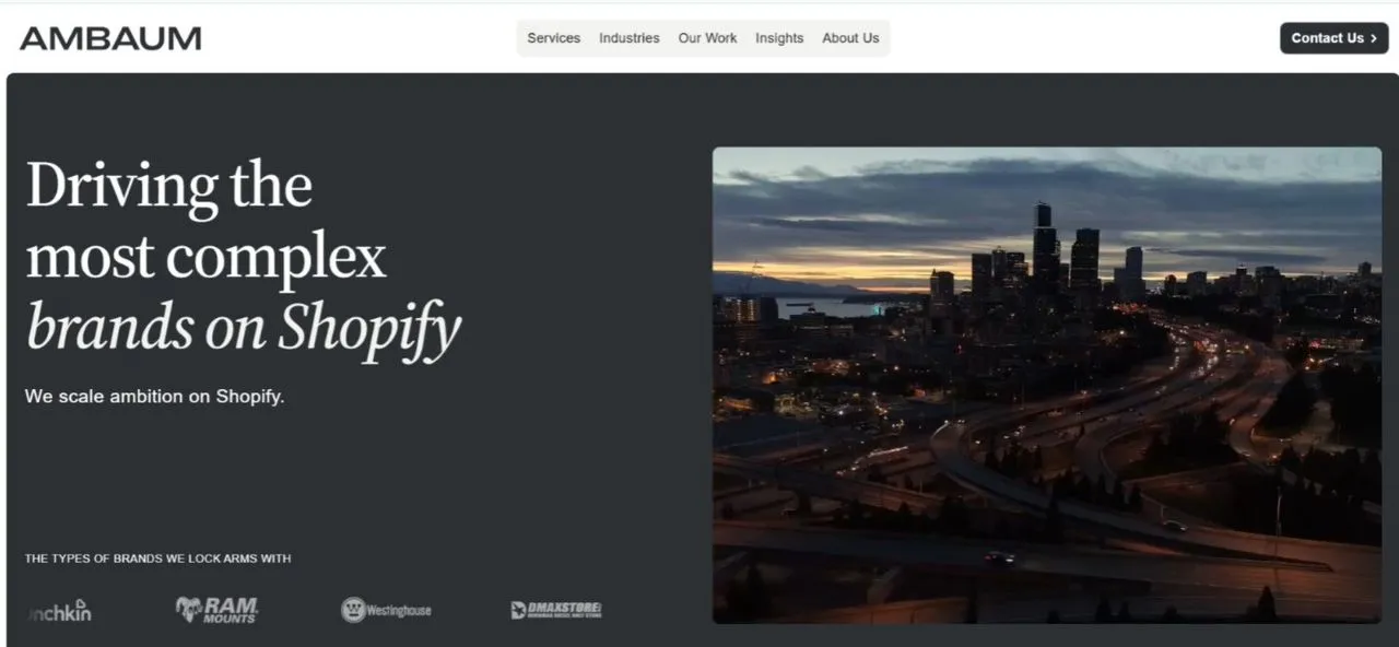 Ambaum website