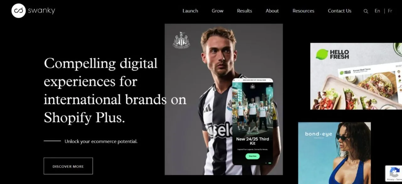 Swanky Agency website
